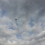 phoca_thumb_m_drak 1 Fotogalerie